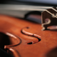 Illustration for article titled Violin Strings Made by Spiders Sound Smooth as Silk